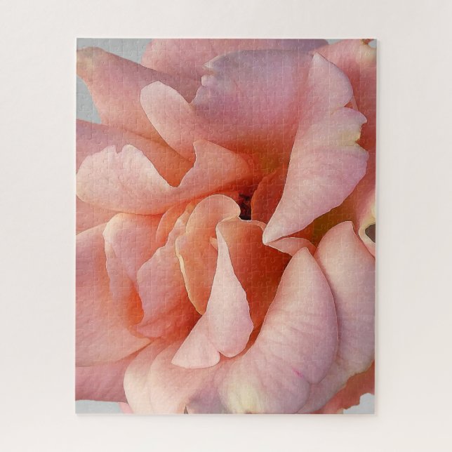 pink rose bloom jigsaw puzzle (Vertical)
