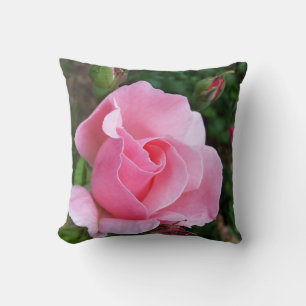 pink rose blooming cushion