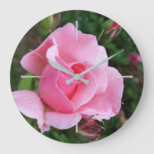 pink rose blooming large clock