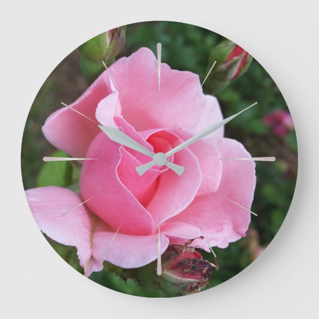 pink rose blooming large clock (Front)