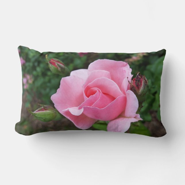 pink rose blooming lumbar cushion (Front)
