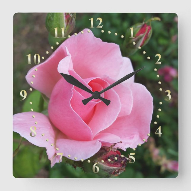 pink rose blooming square wall clock (Front)