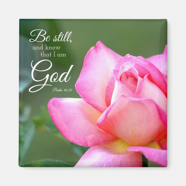 Pink Rose Blossom Be Still Psalm 46:10 Magnet (Front)