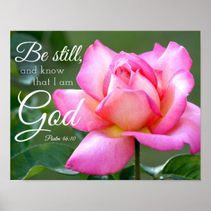 Pink Rose Blossom Be Still Psalm 46:10 Poster