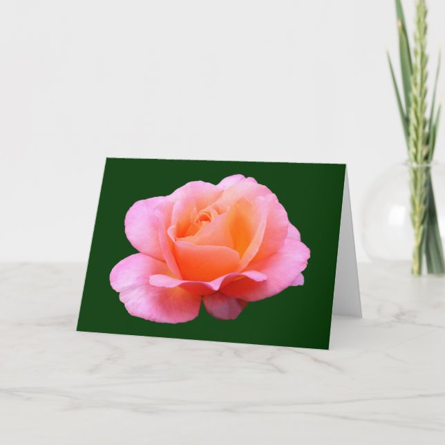 Pink Rose - Blue Card (Front)