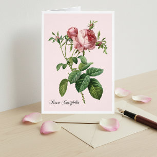 Pink Rose Botanical Art Note Card