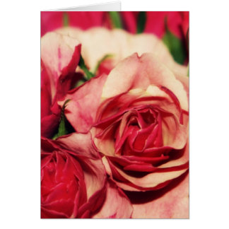 Pink Rose Bouquet Fine Art Photograph