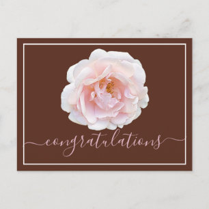 Pink Rose Brown Background Congratulations Postcard