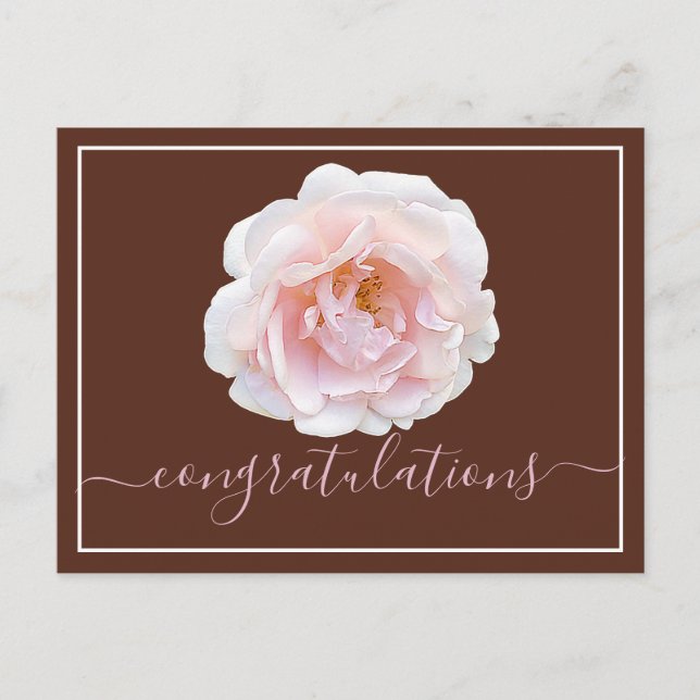 Pink Rose Brown Background Congratulations Postcard (Front)
