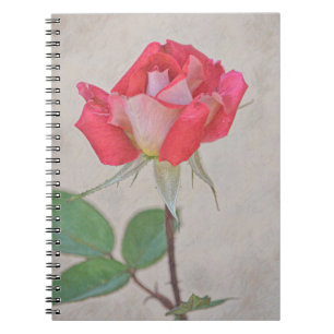 Pink Rose Bud Art from Gertie's Garden Notebook
