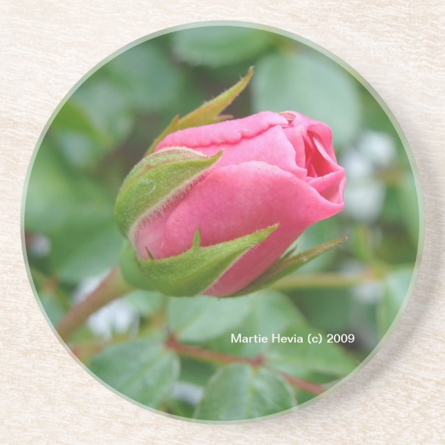 Pink Rose Bud - Coaster (Front)