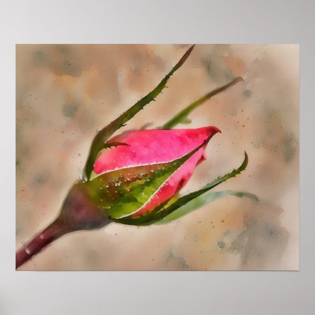 Pink Rose Bud Garden Watercolor Style Art Poster (Front)