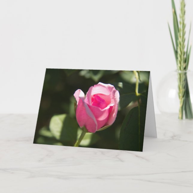 Pink Rose Bud Sympathy Card (Front)