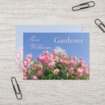 Pink rose bush under blue sky, custom