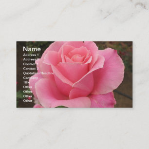 Pink Rose Business Card