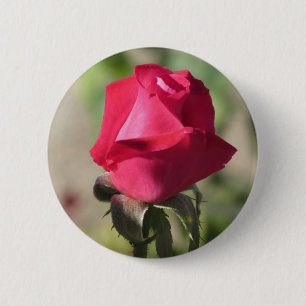 Pink Rose Button