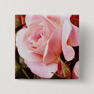 Pink Rose Button