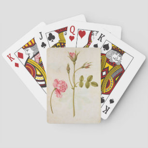 Pink Rose, c.1568 Playing Cards