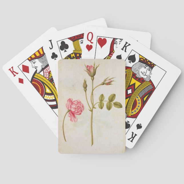 Pink Rose, c.1568 Playing Cards (Back)