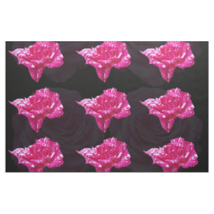 Pink_Rose_Candy,Combed Cotton (56" width) Material Fabric