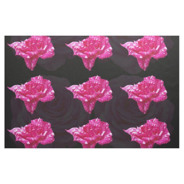 Pink_Rose_Candy,Combed Cotton (56" width) Material Fabric (Yard)