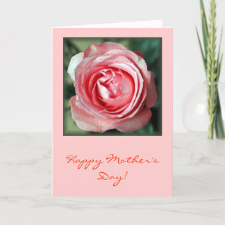 "Pink Rose" Card