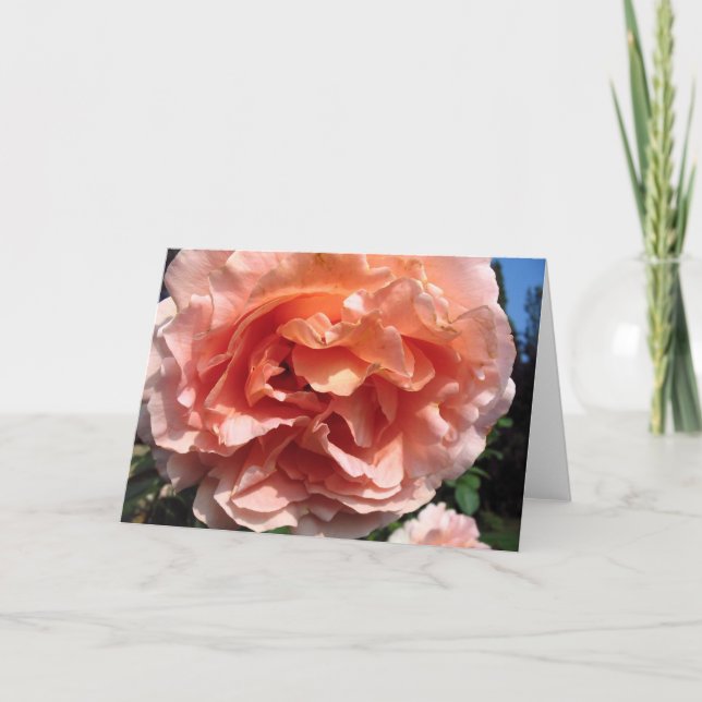 Pink Rose Card (Front)