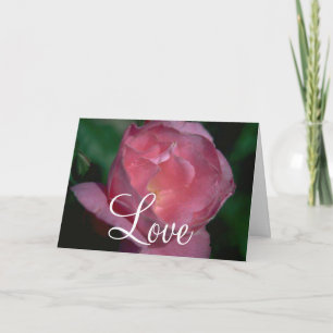 Pink Rose Card
