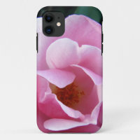 Pink Rose