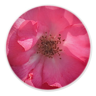 Pink Rose Ceramic Knob