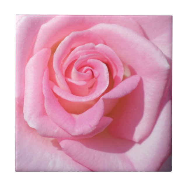 Pink Rose Ceramic Tile (Front)