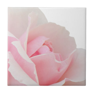 Pink rose ceramic tile
