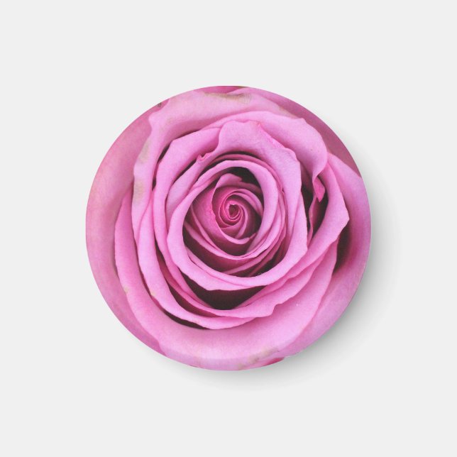 Pink Rose Circle Magnet (Front)