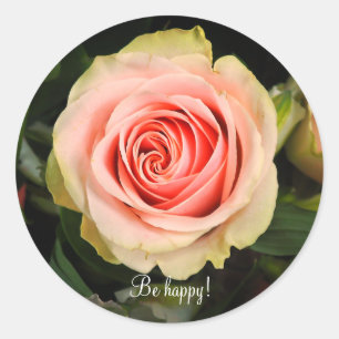 Pink rose classic round sticker
