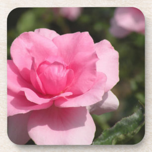 Pink Rose coaster