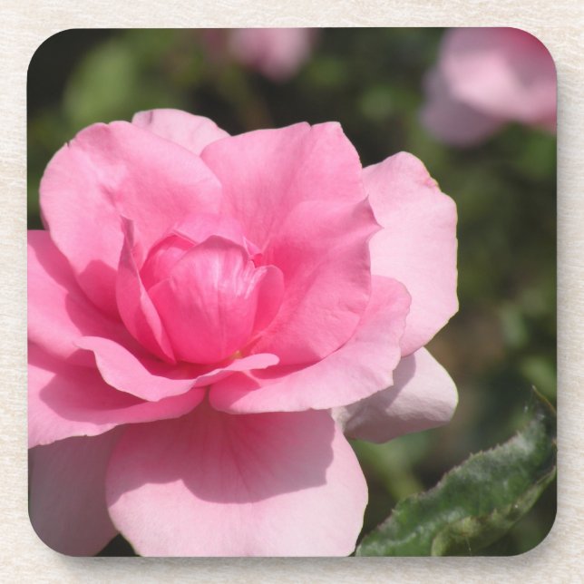 Pink Rose coaster (Front)