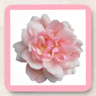 Pink Rose Coaster