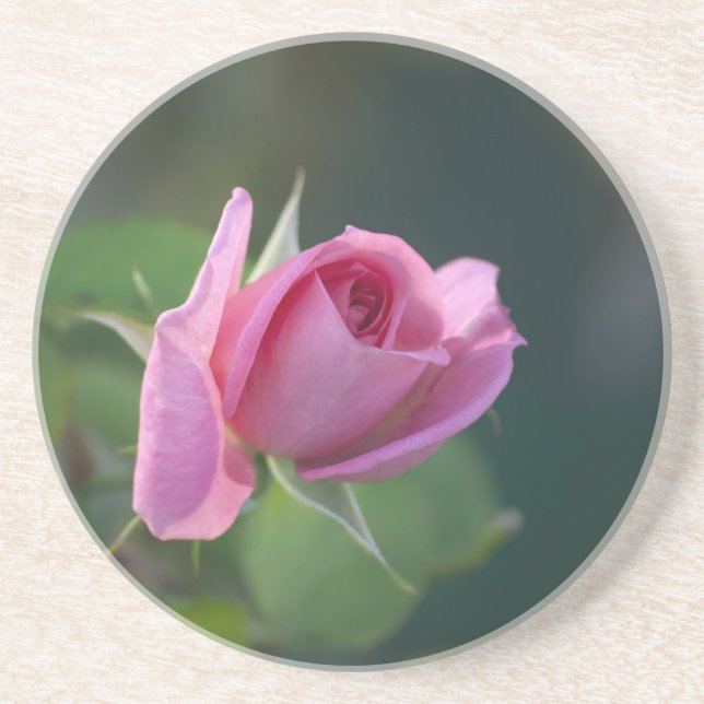 Pink Rose Coaster (Front)
