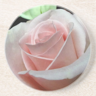 Pink Rose Coasters