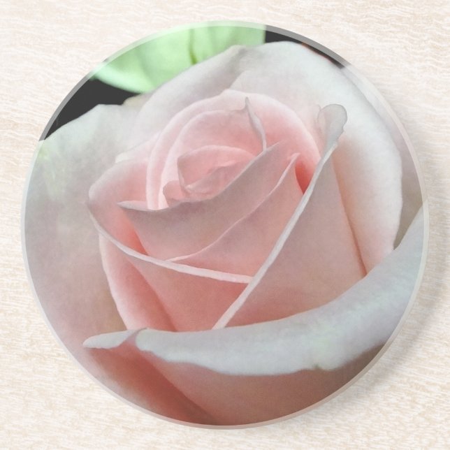 Pink Rose Coasters (Front)