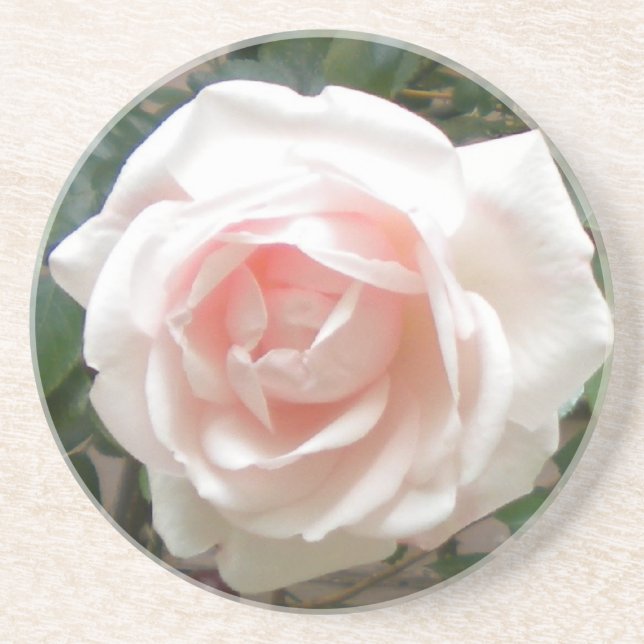Pink Rose Coasters (Front)