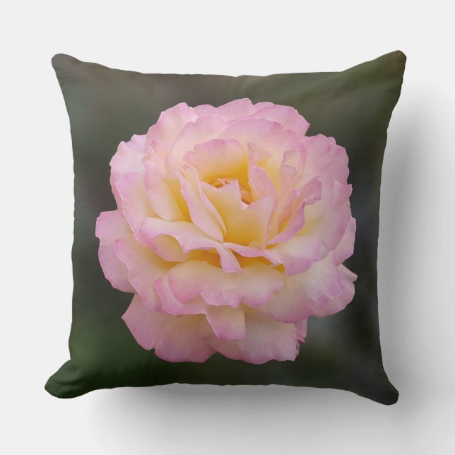 pink rose cushion (Front)