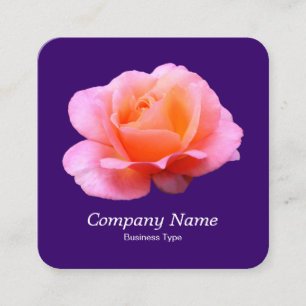 Pink Rose - Deep Purple Square Business Card