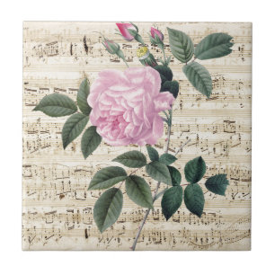 Pink Rose Dreamy Tile