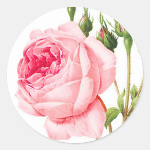 Pink Rose Envelope Stickers