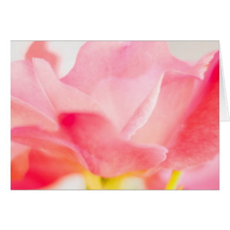 Pink Rose Fine Art Flower Greeting Note Card