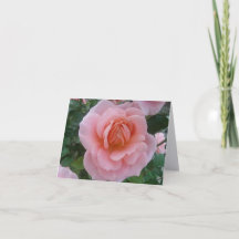 Pink Rose Fine Art Photography Folded Note Card