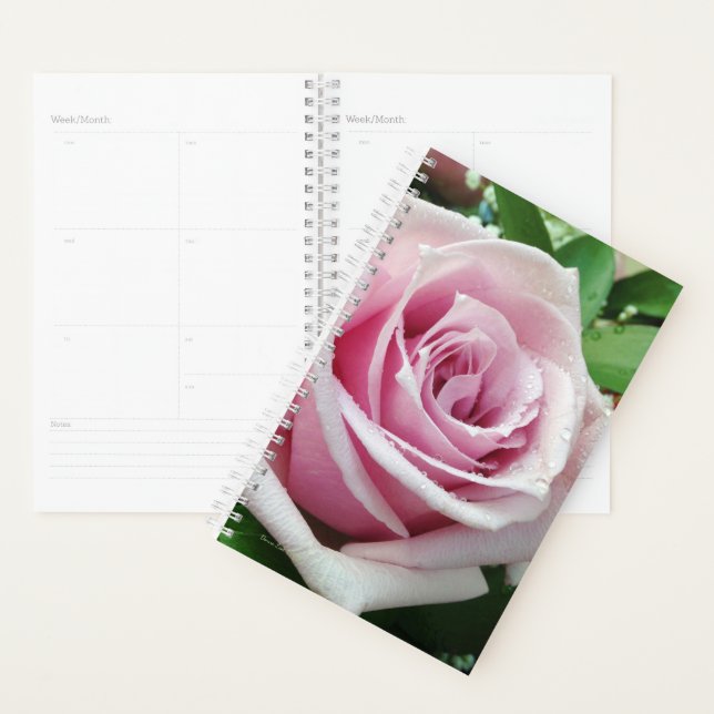 Pink Rose Floral Day Planner (Display)