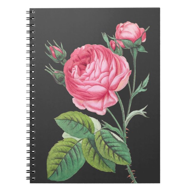 Pink rose floral modern notebook (Front)