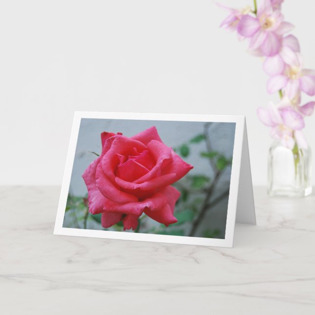 Pink Rose Floral Portrait Card (Orchid)